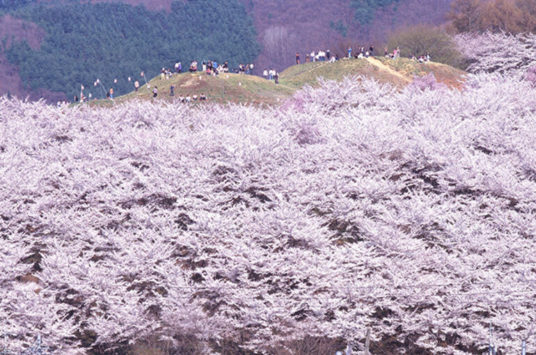 koubouyama 1
