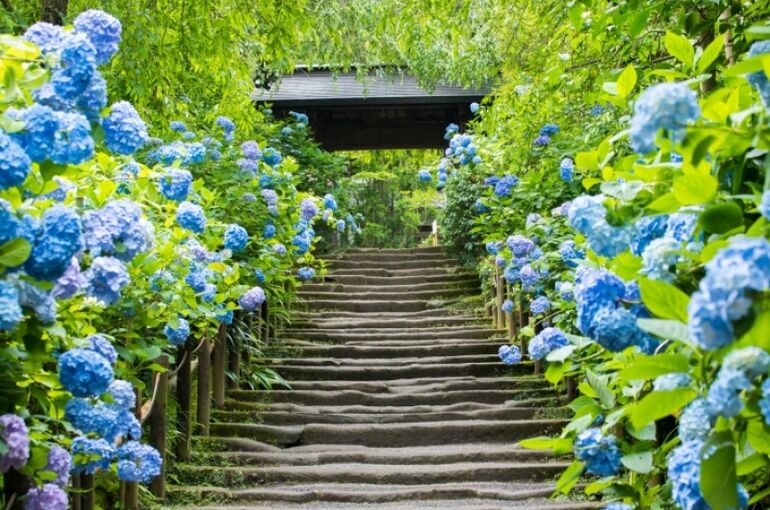 135454-DqvCccmgeX6r3JH5KsnY_lrg_re