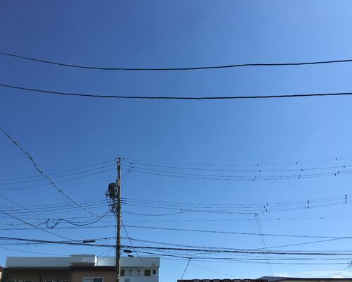 IMG_8559 (2)