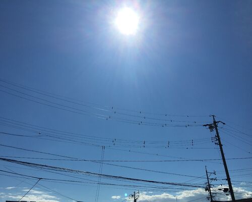 IMG_9162 (2)