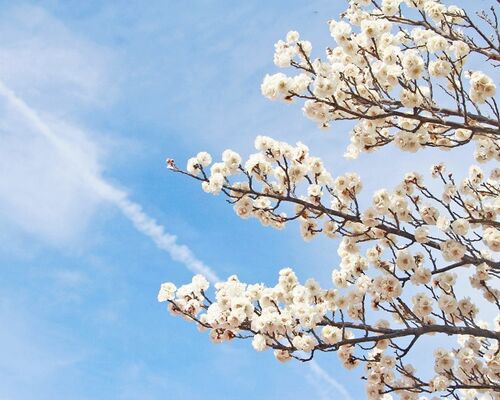 gazou.20170313