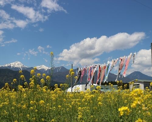 IMG_7524-a