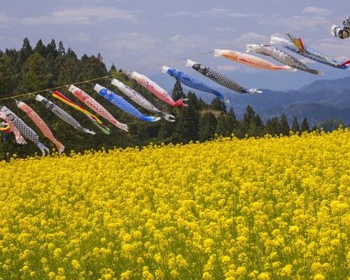 2023-gw-holidays-top