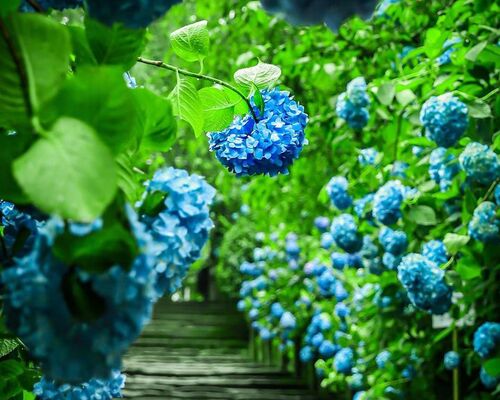 105733d3fabb7e-0563-4ee3-97d3-3272492f306a_m