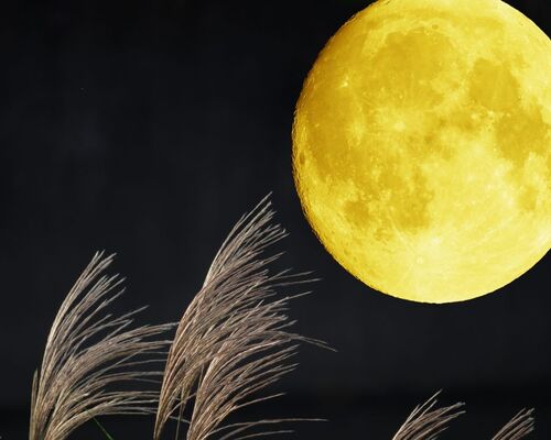 4dacf401532cfc52ac139a9186d7b939_m-1024x768