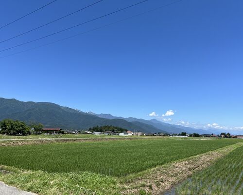 IMG_5970