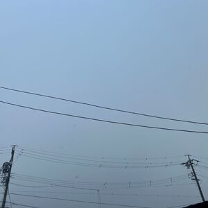 IMG_6701