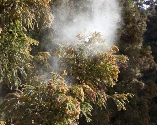 MIGRATEDIMAGE-topic-4638-pixta_2694783_S-large