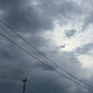 IMG_0201