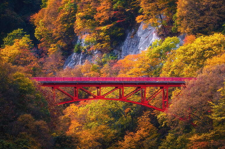 12232_ext_02_0
